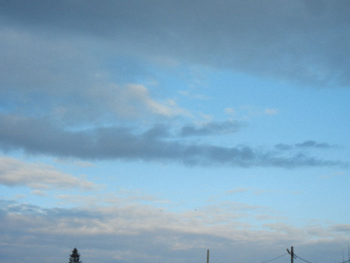 Clouds. Nori (2013, April 04)