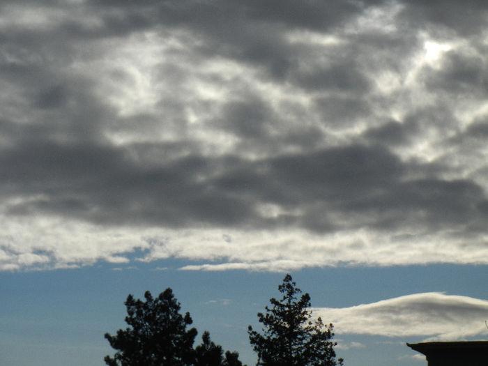 Clouds. Nori (2013, April 04)