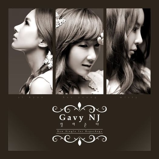 cover--4 - Gavy Nj