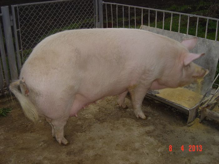 Picture 1552