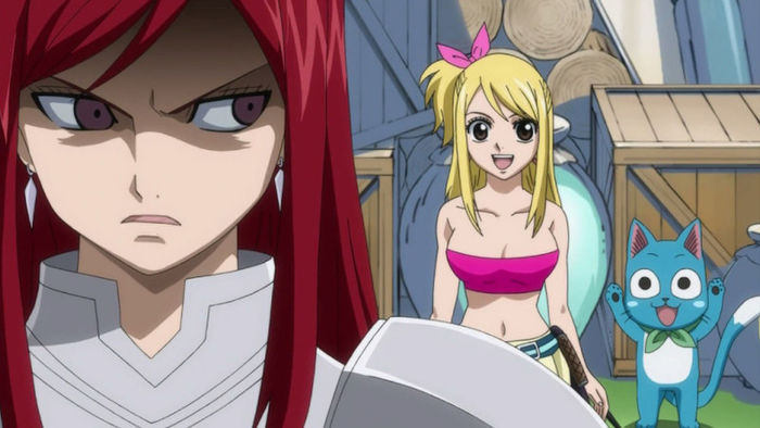 FAIRY TAIL - 14 - Large 19