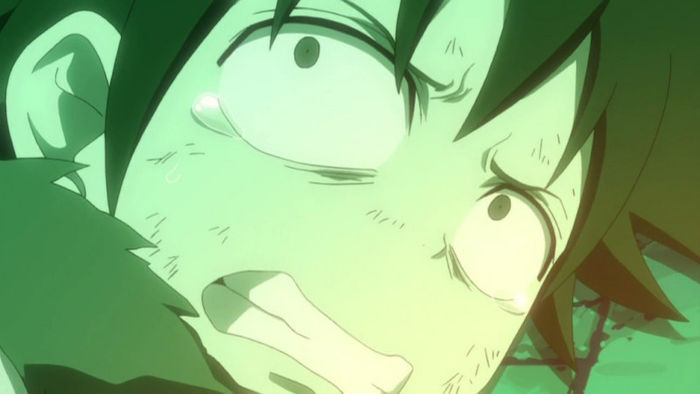 FAIRY TAIL - 15 - Large 17