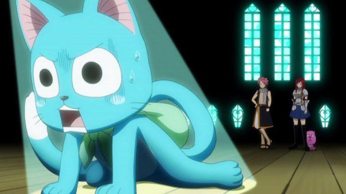 FAIRY TAIL - 19 - Large 24