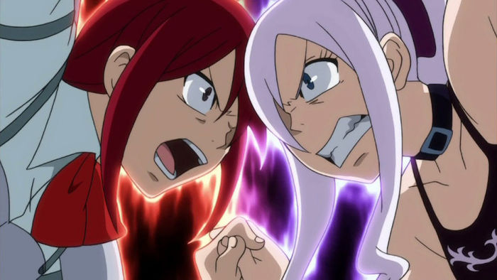 FAIRY TAIL - 20 - Large 14
