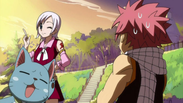 FAIRY TAIL - 20 - Large 35