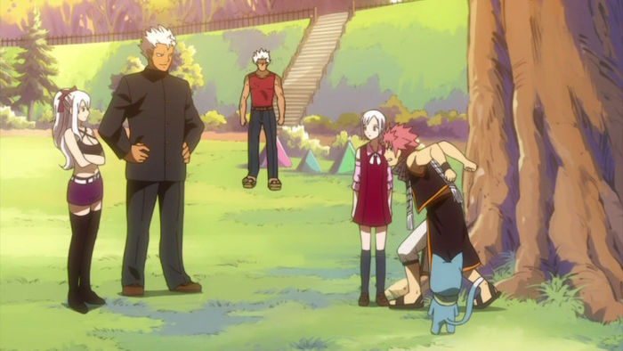 FAIRY TAIL - 24 - Large 27