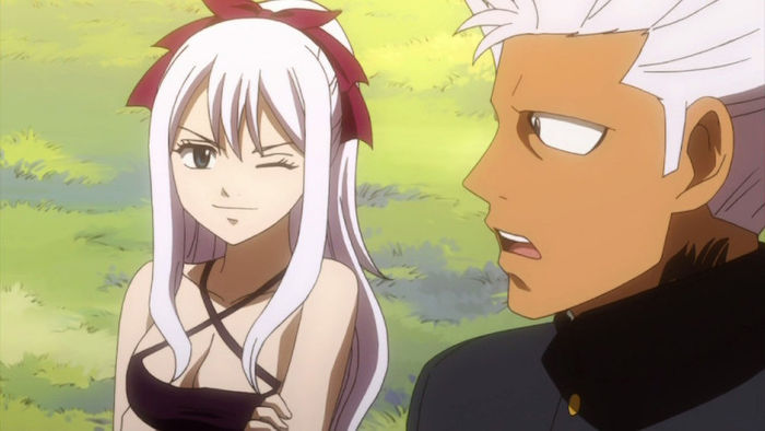 FAIRY TAIL - 24 - Large 28