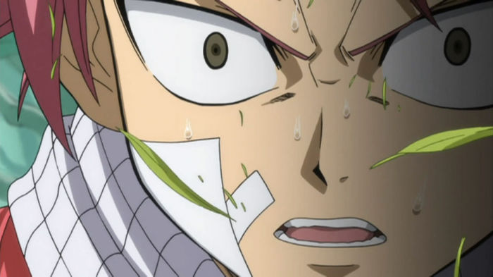 FAIRY TAIL - 122 - Large 13 - Natsu Dragneel