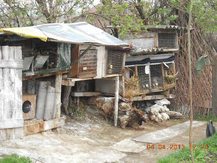 DSCN1474 - poze noi