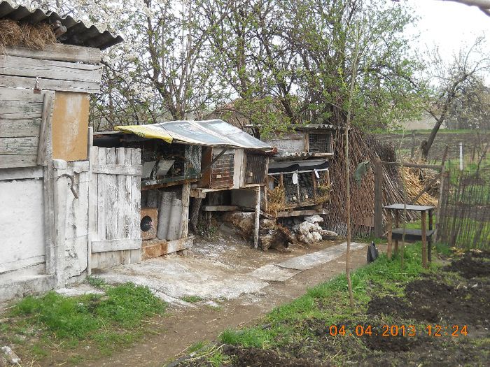 DSCN1475 - poze noi
