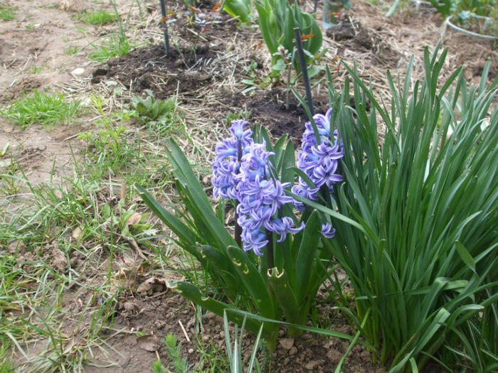 DSCF0232