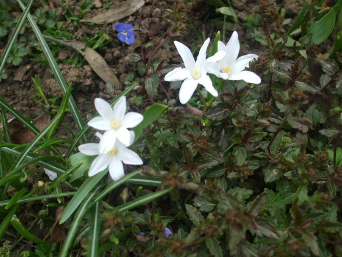 DSCF0244