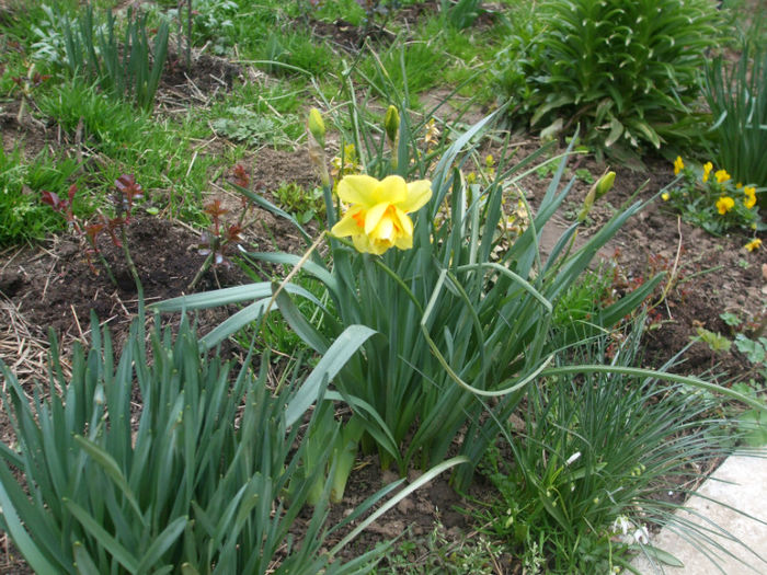 DSCF0227