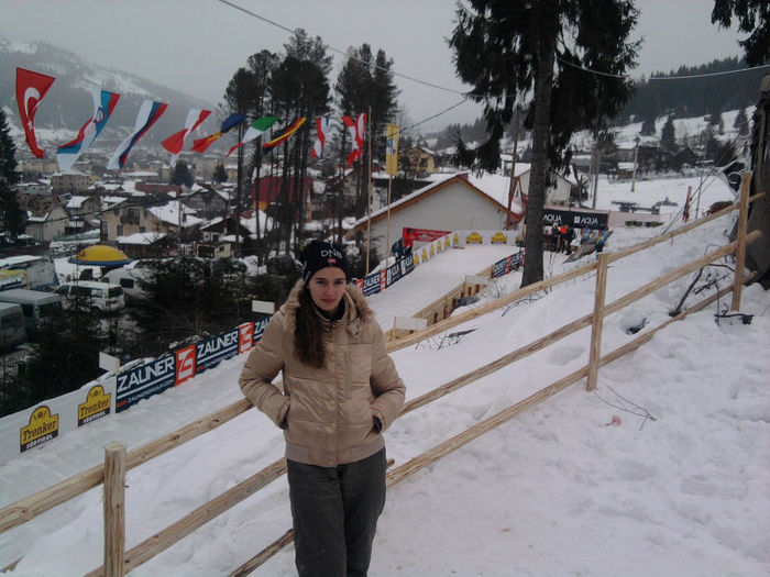 Fotografie4693; La cupa mondiala de sanie de strada...
