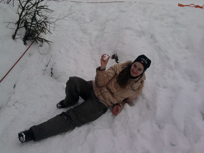 Fotografie4701; La cupa mondiala de sanie de strada...
