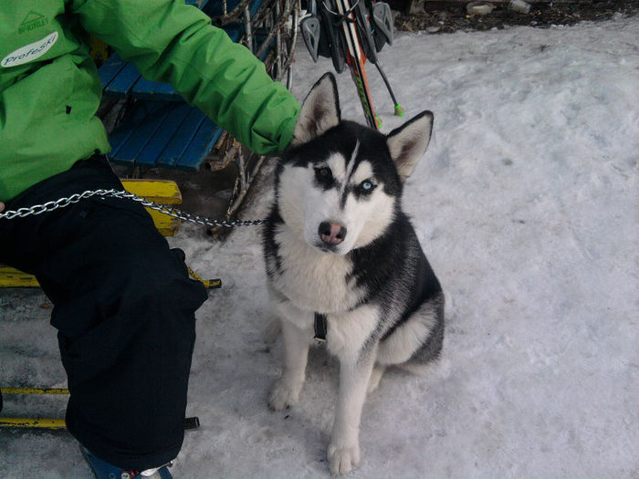 Fotografie4661 - Poze de la orele de ski si restul