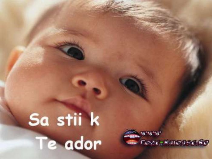 www-poze-haioase-ro-1207652828-32237_563cd00e5e8425 - poze funny