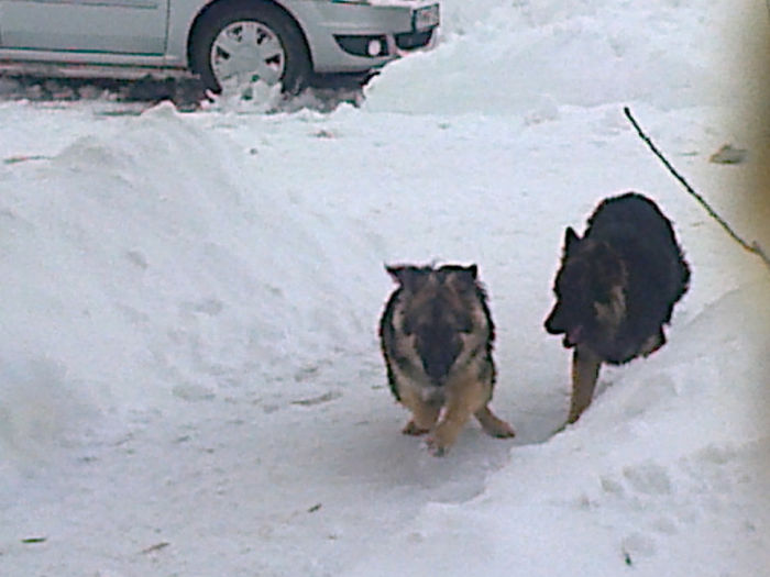 Fotografie0588 - ciini mei