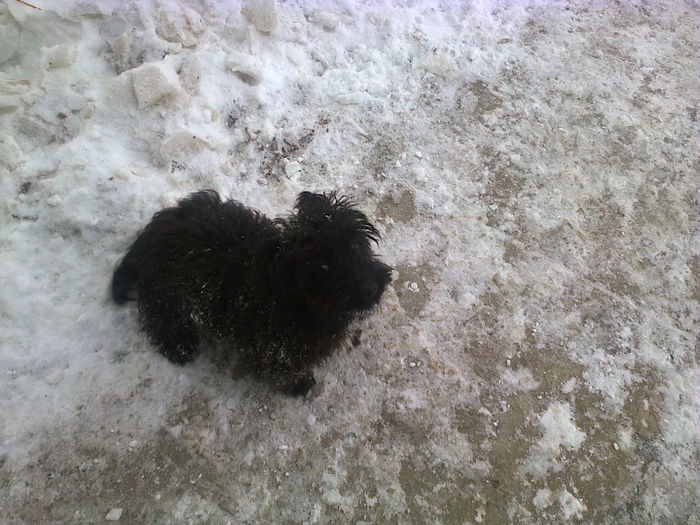 Fotografie0592 - ciini mei