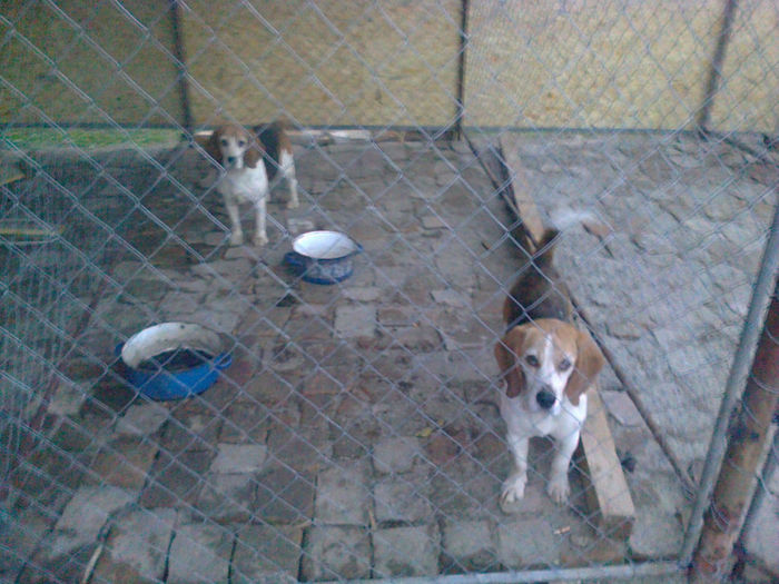 Fotografie0780 - ciini mei