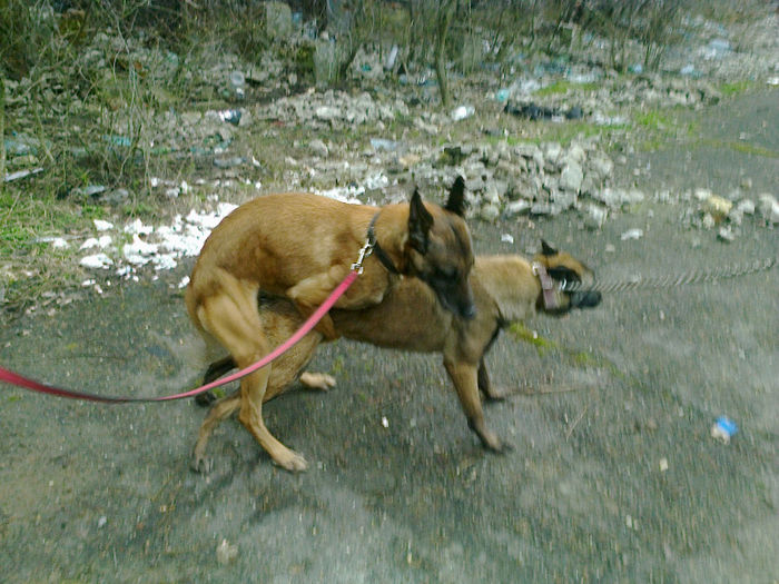 Fotografie0807 - ciini mei