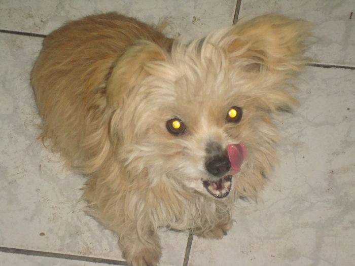 DSC02968 - ciini mei