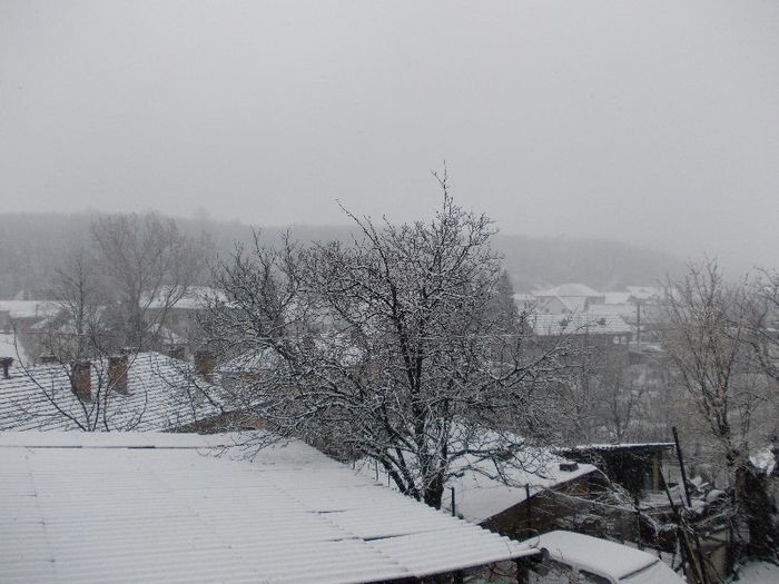 Copy of Copy of DSCN0107