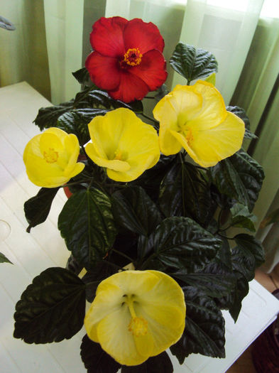 DSC02551