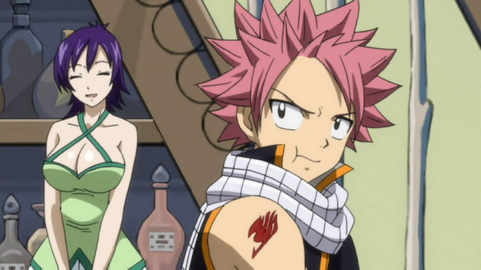 FAIRY TAIL - 127 - Large 14 - Fairy Tail 1