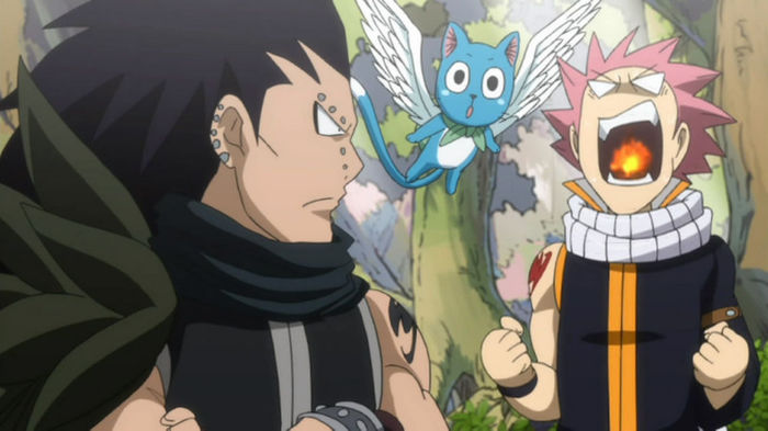FAIRY TAIL - 129 - Large 06