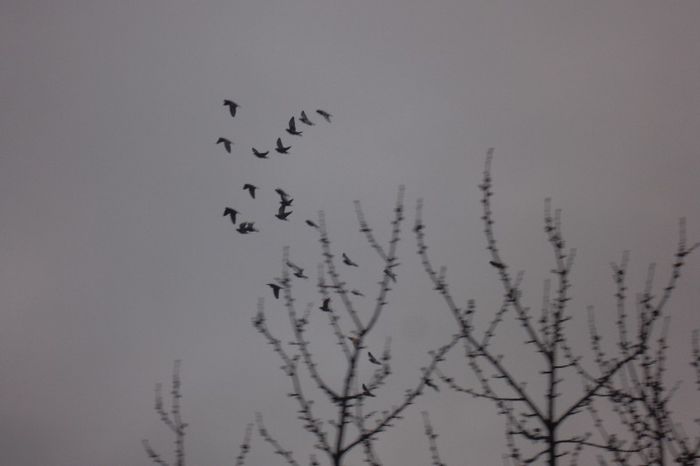 lot de zbor la antrenament