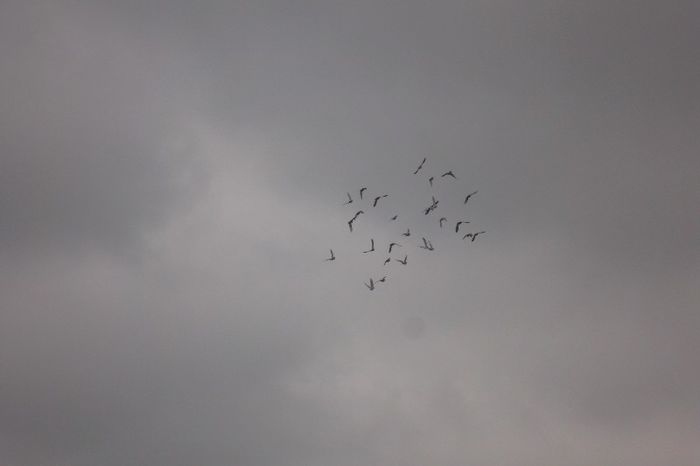 lot de zbor la antrenament