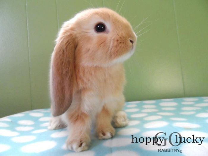 5703_168418126640330_194161826_n