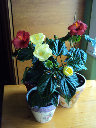 DSC02569
