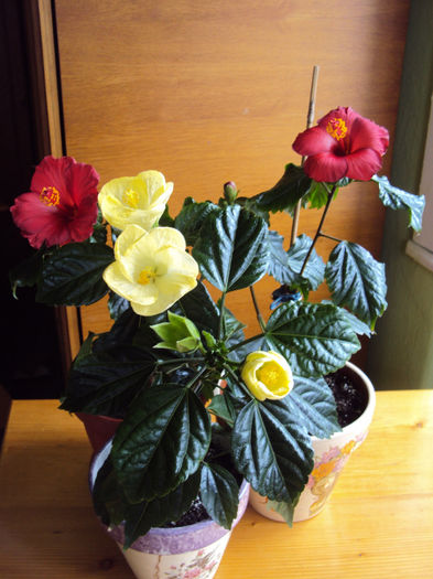 DSC02571