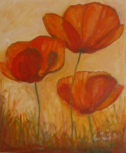 poppies