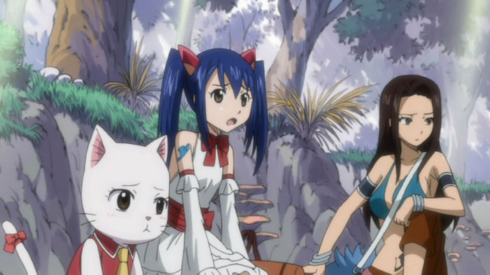 FAIRY TAIL - 135 - Large 22 - Fairy Tail 2