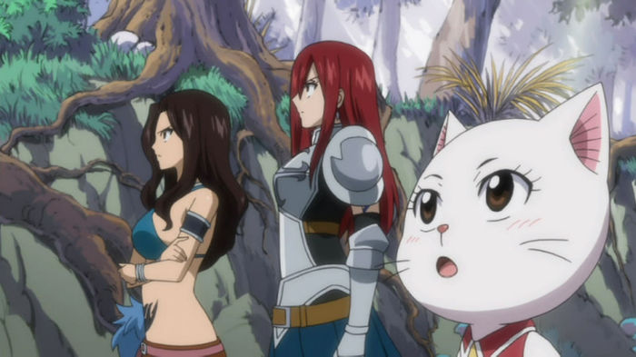 FAIRY TAIL - 135 - Large 34