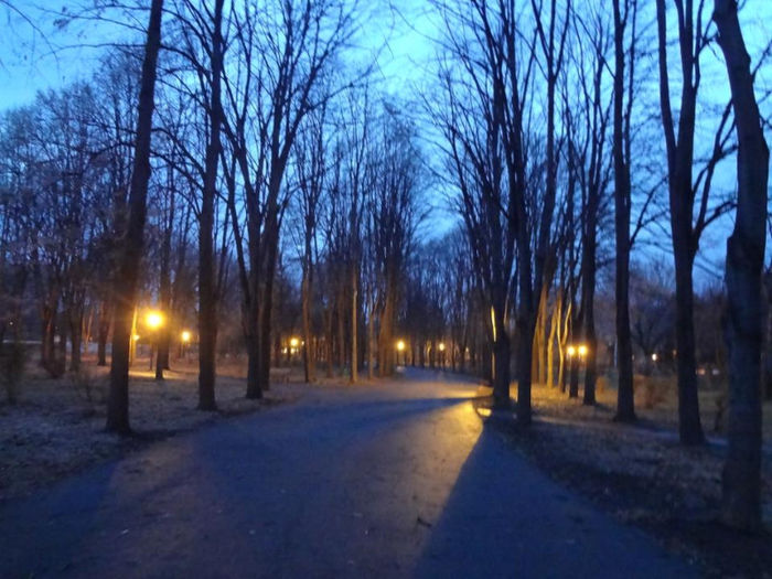 Seara de februarie in Parcul Tineretului.