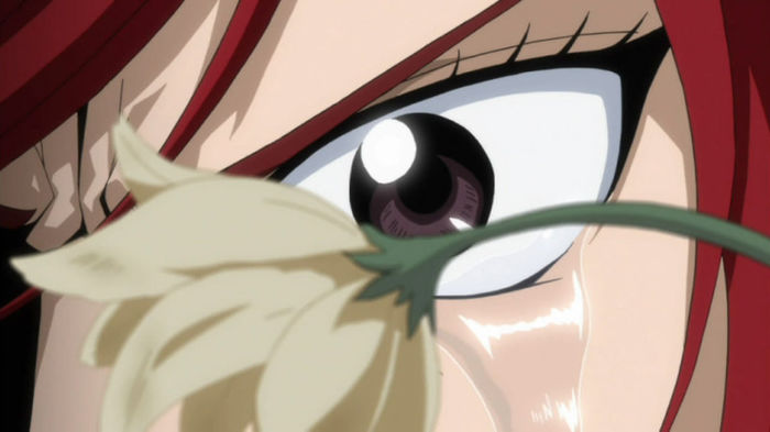 FAIRY TAIL - 136 - Large 34 - Erza Scarlet