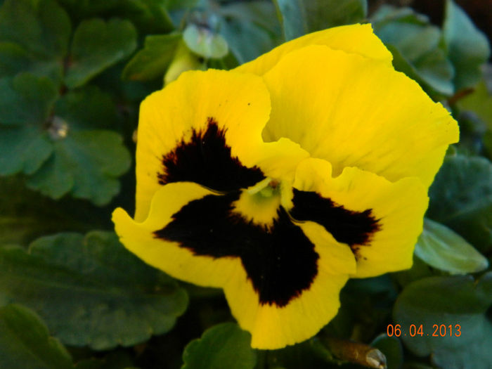 046