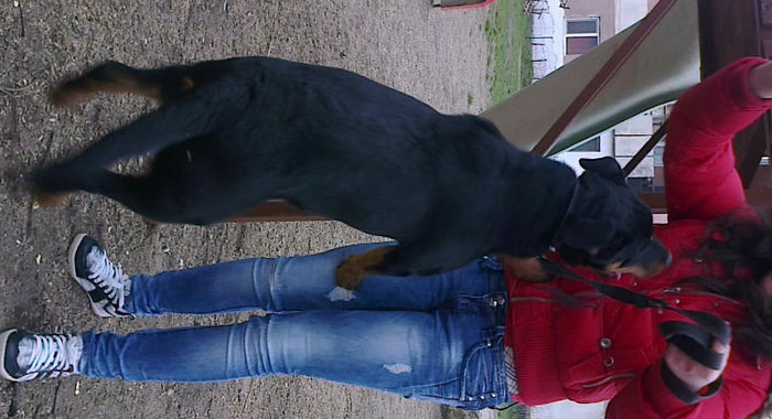 HERRA; 4 luni jumatate
