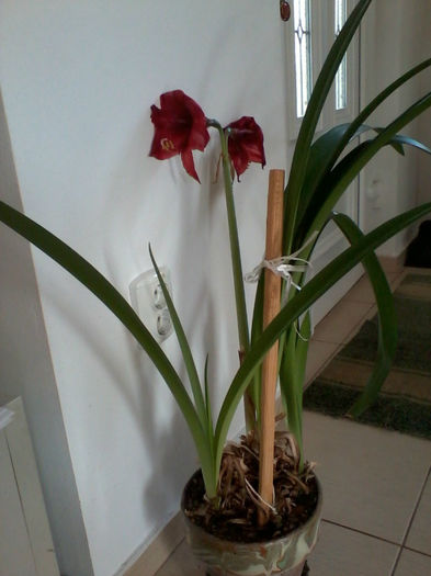 2013-04-10 17.07.47; este pe trecute
