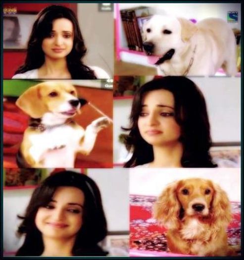 72638_454037931343311_585999554_n