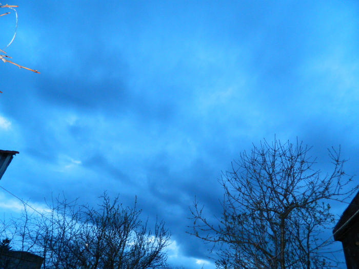 DSCN6574
