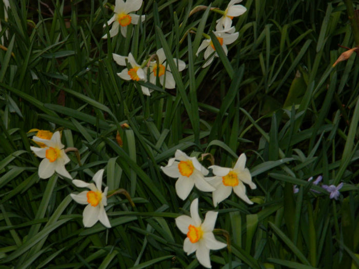 DSCN6599