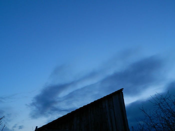DSCN6684
