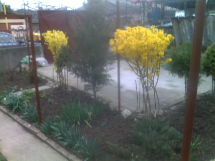 030420131330 - gradina 2013