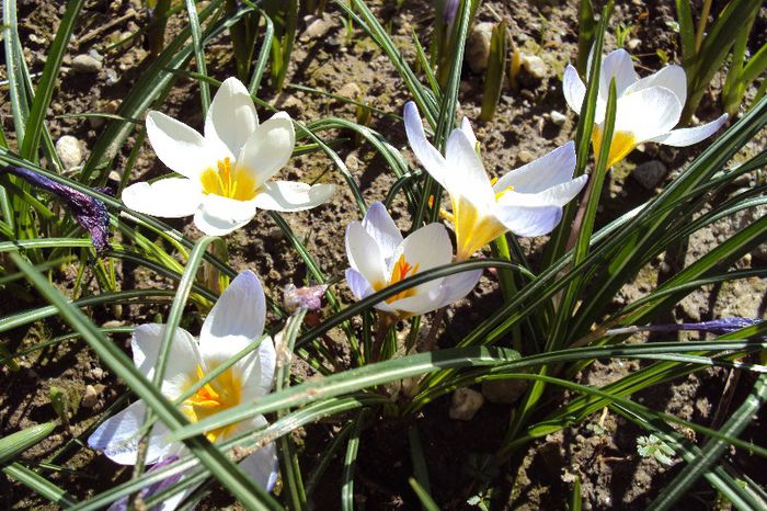 in sfarsit o zi cu soare....