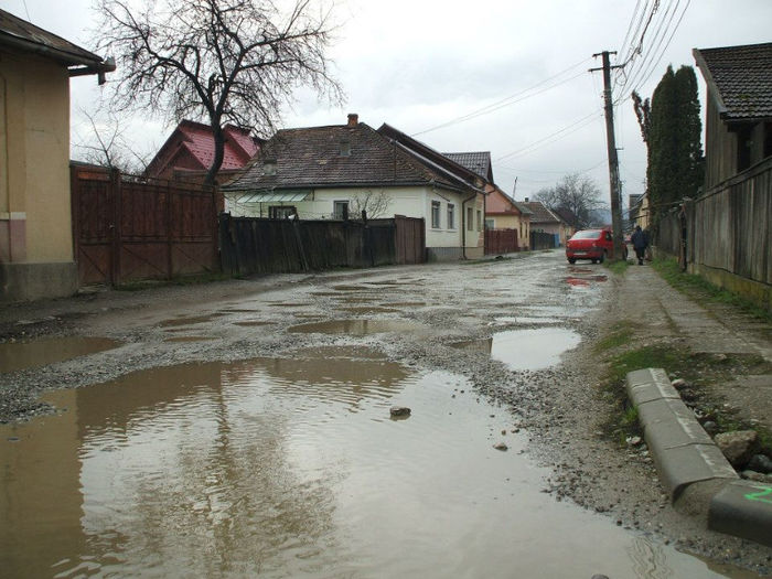 Dobrogeanu Gherea - aspecte ale municipiului___din era tertziara